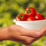 Curso Manipulador Alimentos Avanzado