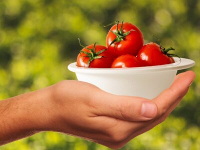Curso Manipulador Alimentos Avanzado